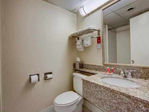 惠帕尼Red Carpet INN Whippany的一间带卫生间、水槽和镜子的浴室