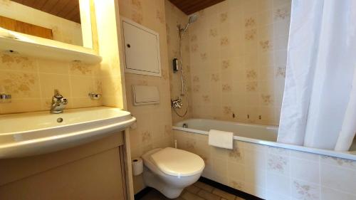 DallenwilPilgerhaus Maria-Rickenbach的浴室配有卫生间、盥洗盆和浴缸。