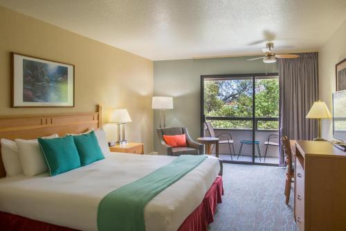 蒙特雷科尔顿酒店的酒店客房设有一张床和一个大窗户