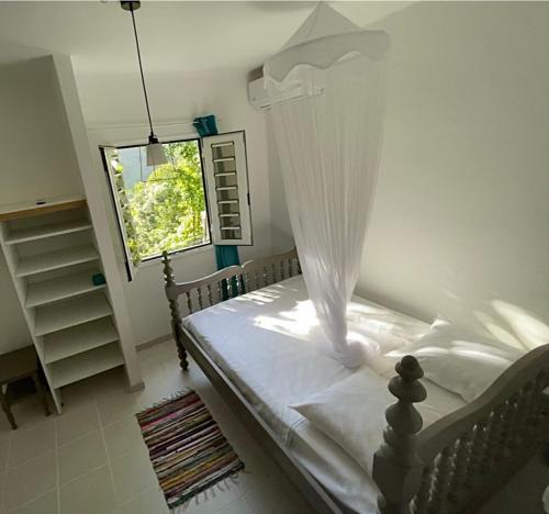 法兰西堡Appartement à Didier的一间卧室配有一张带天蓬和窗户的床