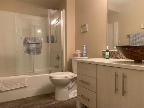特勒斯Remo Ridge Bed N Breakfast的浴室配有卫生间、淋浴和盥洗盆。