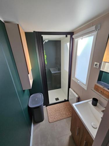鲁西隆地区卡内Casa Luisa Mobil Home的带淋浴、盥洗盆和镜子的浴室