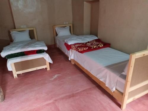代姆纳特Ecolodge Espace Tamount的粉红色地板客房中的两张单人床