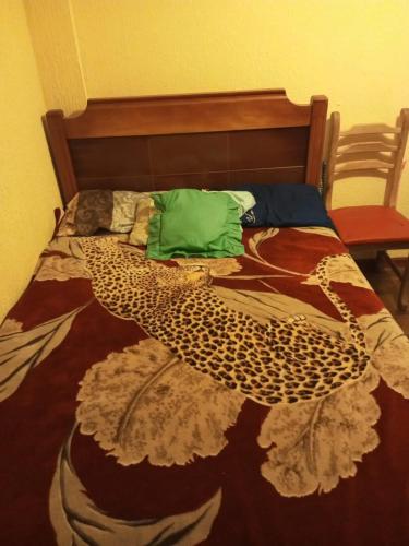 基多El Hogar de Jhonny的一间卧室配有一张带大被子的床