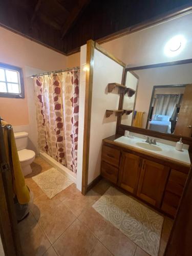 尼格瑞尔R&V VILLA的带淋浴、盥洗盆和卫生间的浴室