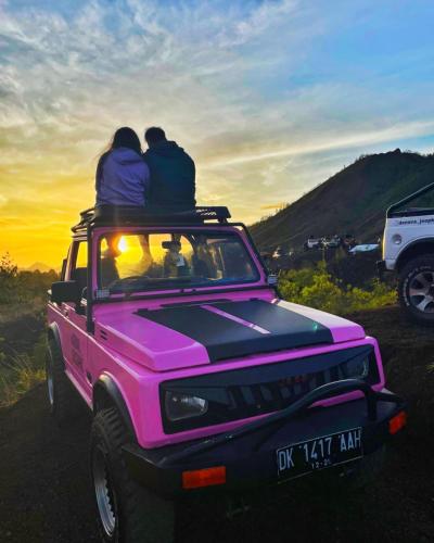 金塔马尼jeep tour bali的一群人坐在粉色吉普车的屋顶上