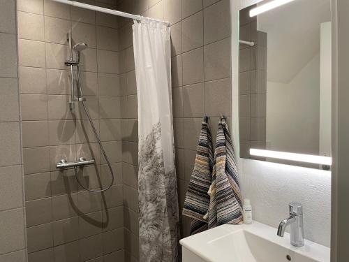 锡尔克堡Mormors Stue - Grethelund的浴室配有淋浴帘和盥洗盆。