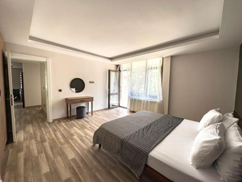 安卡拉109-Luxury Ankara Downtown Home的一间卧室配有一张床和一张书桌