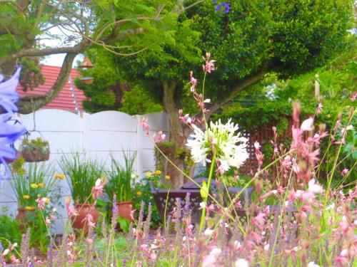伊丽莎白港Whistlewood Guesthouse Walmer, Port Eizabeth的种着粉红色花卉和一棵树的花园