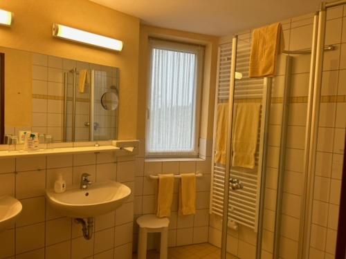 维林根瓦尔德豪斯酒店的一间带水槽和淋浴的浴室