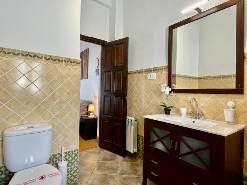 康塞普西翁新镇El Rincon del Torcal的一间带卫生间、水槽和镜子的浴室