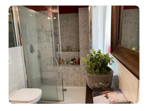 赫拉弗多纳Suite Lago blu的带淋浴、卫生间和植物的浴室