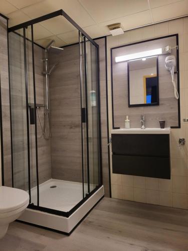 斯鲁伊斯Hotel Le Provencal的带淋浴、卫生间和盥洗盆的浴室