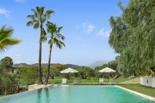 科因Finca La Familia Naranja的一座棕榈树、椅子和遮阳伞的游泳池