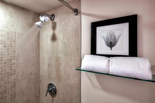 亚特兰大Ellis Hotel, Atlanta, a Tribute Portfolio Hotel的浴室设有玻璃架淋浴