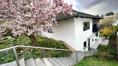 巴特坎贝格Gemütliche Ferienwohnung am Kurpark的白色的房子,有一棵树,花粉红色