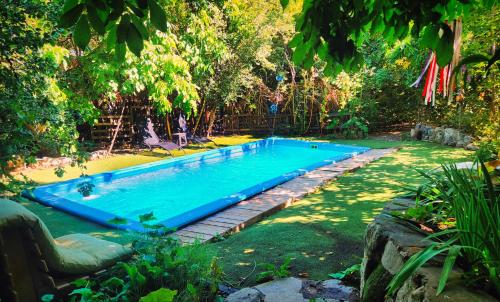 圣阿方索El Jardin, Eco Cabañas Boutique的庭院中间的游泳池