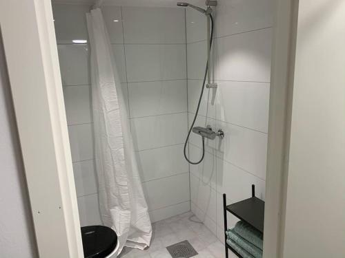 哥德堡Mysigt centralt boende的带淋浴和黑色卫生间的浴室