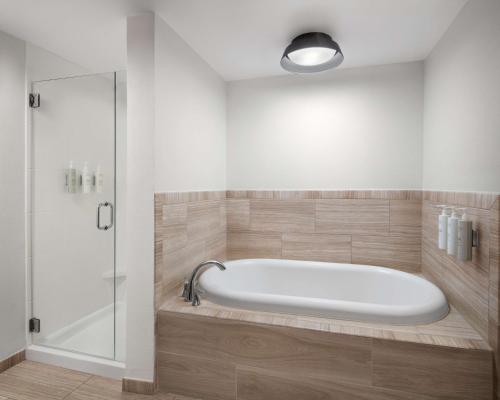 博福特博福特希尔顿花园酒店的带浴缸的浴室