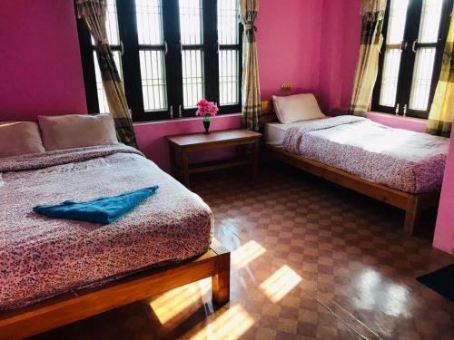 JhawāniGolden Jungle Hotel and Lodge的配有粉红色墙壁和窗户的客房内的两张床