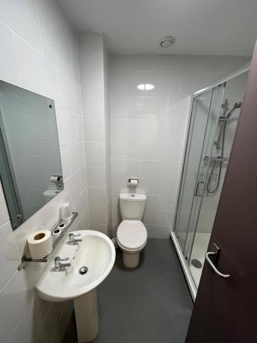 伯明翰The Bournbrook Inn的浴室配有卫生间、盥洗盆和淋浴。