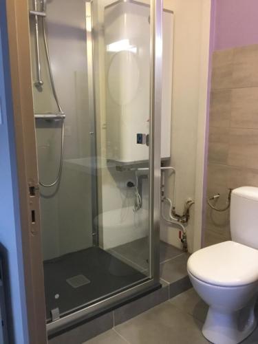 拉吉约勒LO PASTRE - LUXUEUX T2的设有带卫生间的浴室内的淋浴间