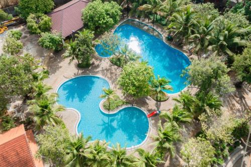 Buôn ErangKhu du lịch Suối Ong的棕榈树泳池的顶部景色