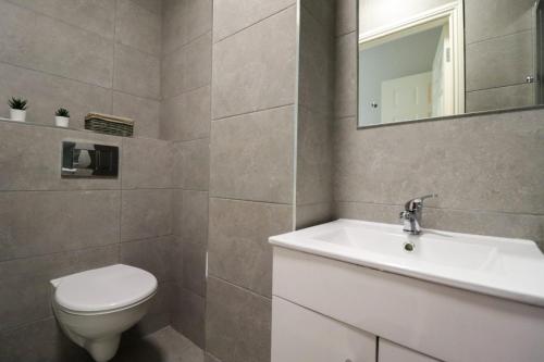 都柏林Inviting 2-Bed Apartment in Dublin的一间带卫生间、水槽和镜子的浴室