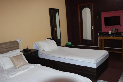 KakarvittaHoliday Inn的一间酒店客房,设有两张床和电视