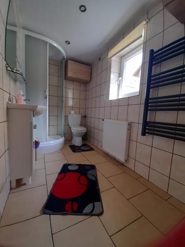 MizernaBodziuchówka的浴室设有卫生间,地板上铺有地毯。