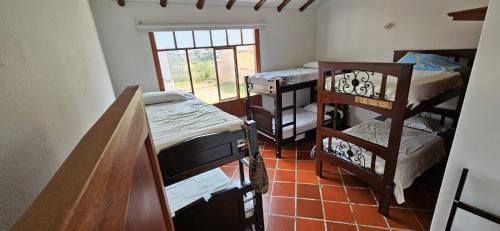 莱瓦镇Family Host HOSTEL的客房设有几张双层床和窗户。