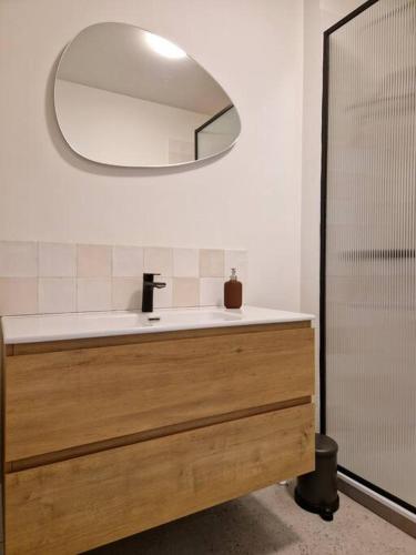 菲尔福尔德Gezellig appartement in Vilvoorde的一间带水槽和镜子的浴室