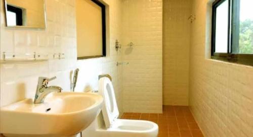 博卡拉Hotel Suite Inn Lodge的一间带水槽和卫生间的浴室