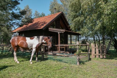 SeliskoРанчо Скарбова Гора的站在建筑物旁边的棕色和白色马