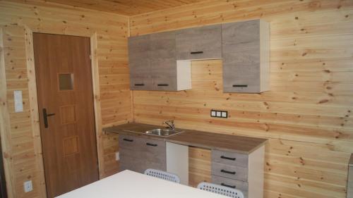 缅济莱谢Modrzewie的一个带水槽和木墙的厨房