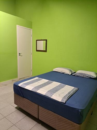 帕拉蒂Girassol Hostel by Katita的绿色墙壁间的一张床位