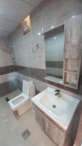 瓦迪拉姆Sultan Luxury Camp的一间带水槽和卫生间的浴室
