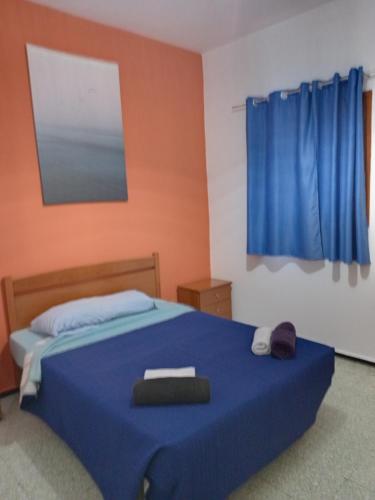 埃尔泰勒罗Pension Alvarez的一间卧室配有蓝色的床和蓝色的毯子