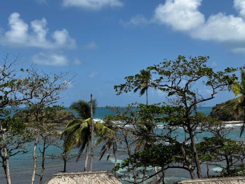 科隆Ciel y Miel的享有棕榈树海滩和大海的景色