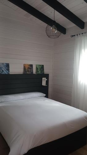 UcedaLa cabaña de Uceda的卧室配有一张白色大床和吊灯。