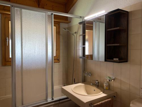 格林德尔瓦尔德Grindelwald-Sunneblick的带淋浴、盥洗盆和镜子的浴室