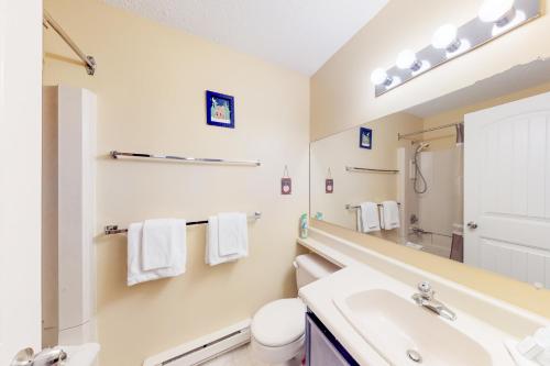 大白山Snow Ghost Inn 326的一间带水槽、卫生间和镜子的浴室