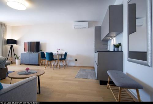 罗维尼Val De Laco studio apartments的带沙发和桌子的客厅以及厨房。
