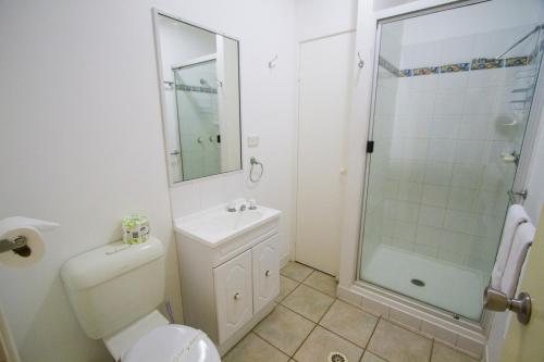 阿格奈什沃特Agnes Palms Accommodation的带淋浴、卫生间和盥洗盆的浴室