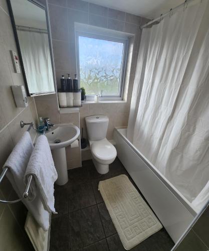 查塔姆Chatham Three Bedroom的浴室配有卫生间、盥洗盆和淋浴。