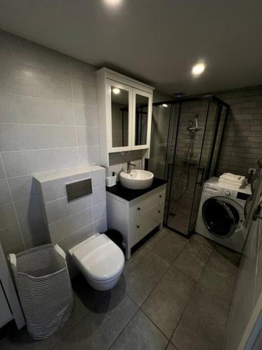维尔纽斯Brand-new Central Loft的浴室配有卫生间、盥洗盆和淋浴。