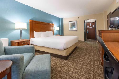 圣路易斯圣路易斯联合站附近梨树酒店的大型酒店客房,配有床和沙发