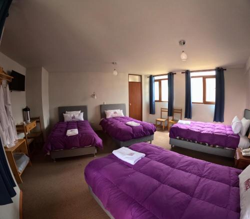 CoporaqueTerraMistica Colca的带三张床和紫色毯子的房间