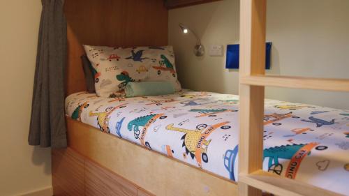 瓦纳卡Adventure Wanaka Hostel的一间卧室配有一张带木制床架的双层床