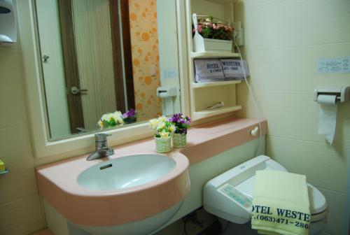 群山市群山西方酒店 的一间带水槽、卫生间和镜子的浴室